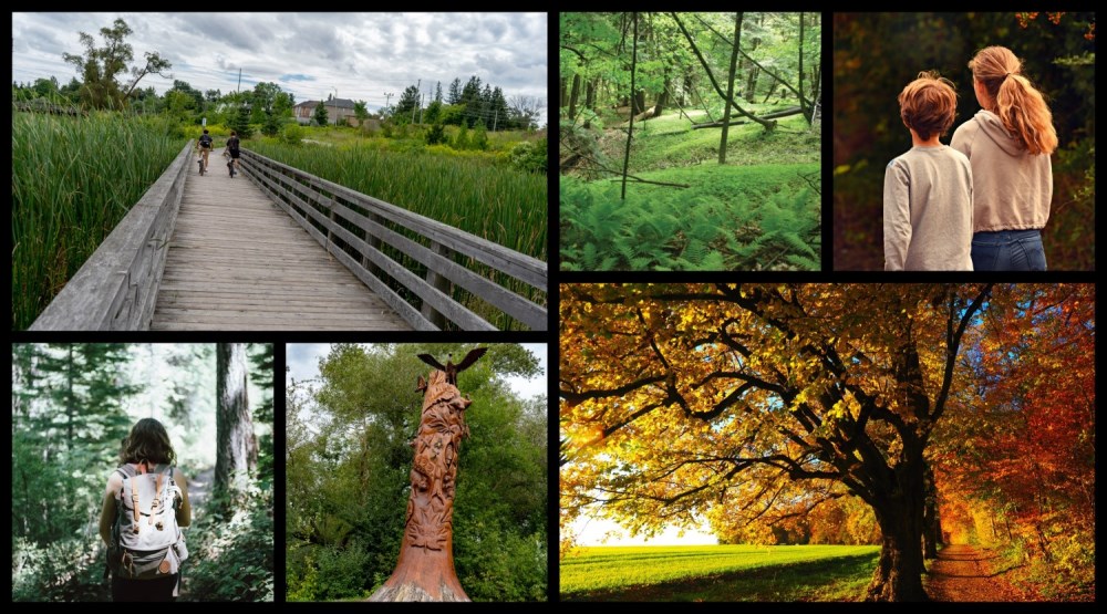 collage of Aurora parks and trails